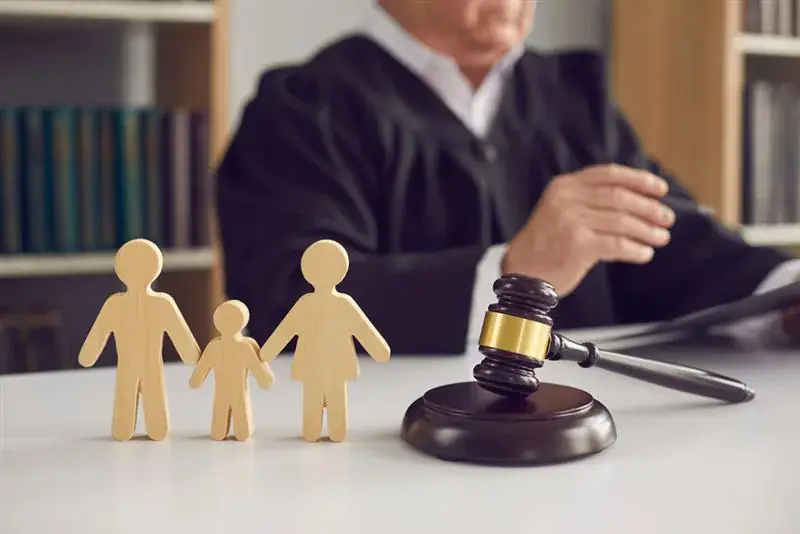 Abuse Litigation