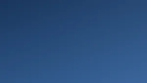 What Are Your Rights Under the TCPA? A Complete Guide